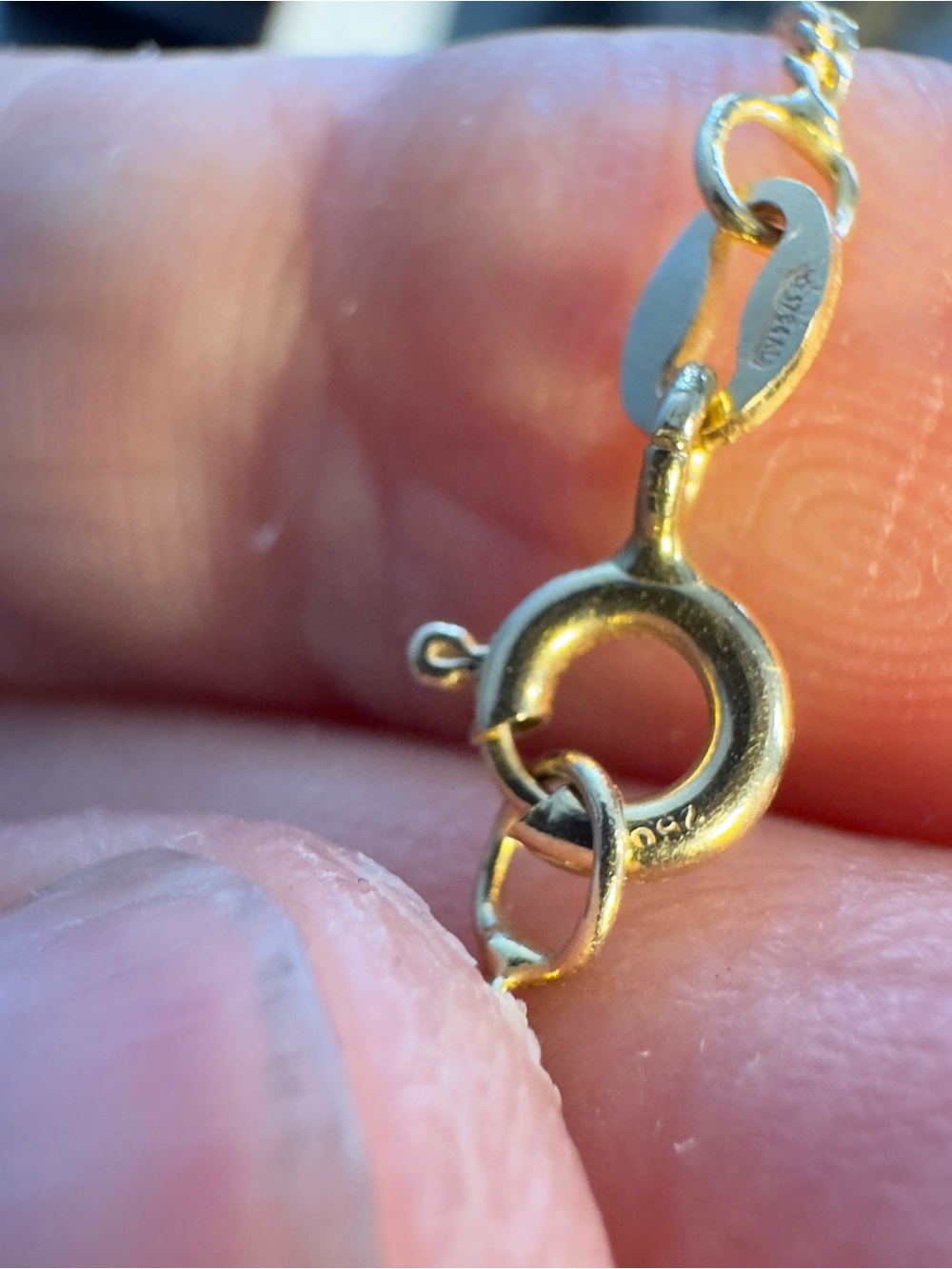 18k Garnet Drop Necklace - Picture 9 of 12
